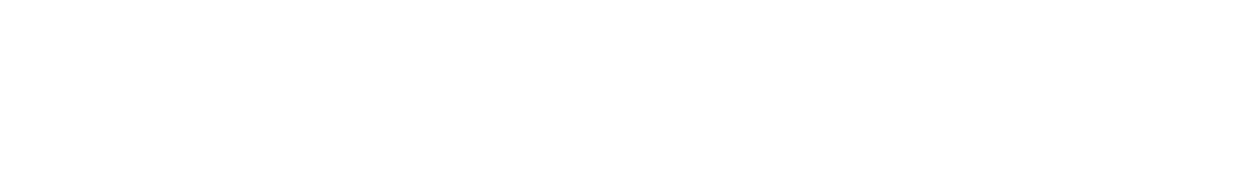 Nordica_Logo_2017.svg (1)