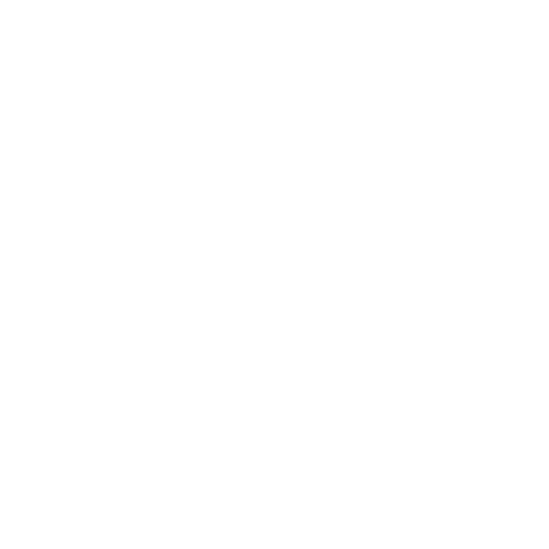 Ronix